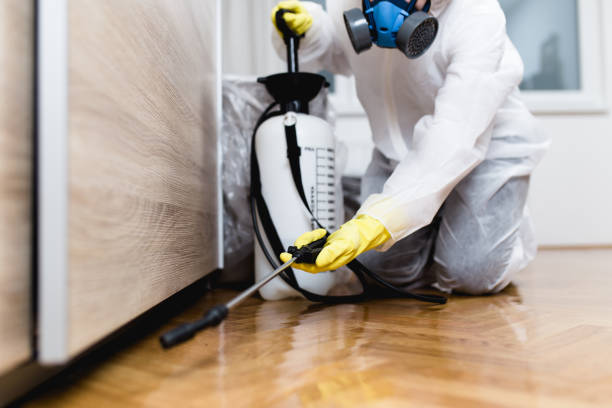 Best Affordable Pest Control Services  in Arlington, TX