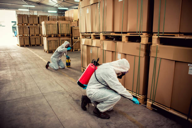 Best Pest Control Near Me  in Arlington, TX