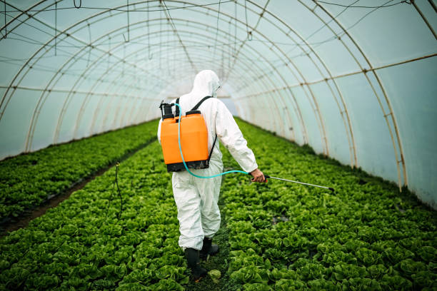 Best Affordable Pest Control Services  in Arlington, TX