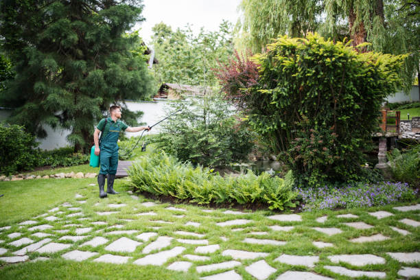 Best Pest Inspection Near Me  in Arlington, TX