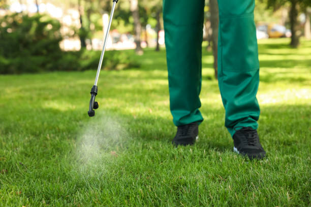 Insect Control in Arlington, TX