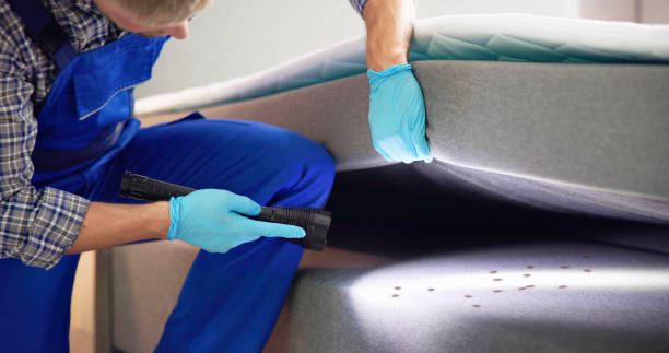 Best Residential Pest Control  in Arlington, TX