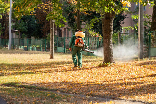 Best Cockroach Control Services  in Arlington, TX
