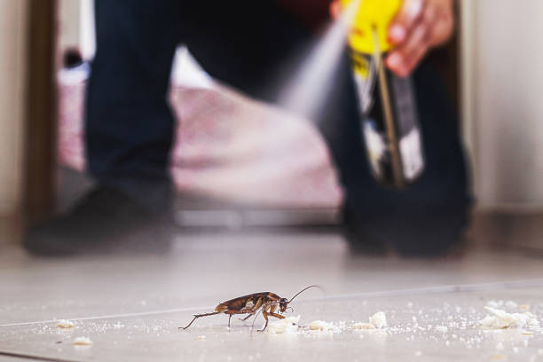 Best Pest Control Cost  in Arlington, TX
