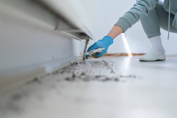 Pest Control Cost in Arlington, TX